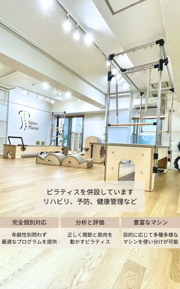 カイロプラクティック テクニック総覧 カイロプラクティック・テクニック総覧(新版) | D.Peterson/T